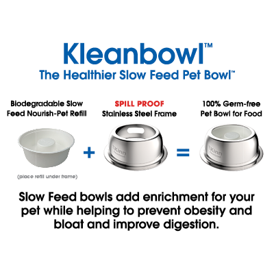 The Healthier Slow Feed Pet Bowl