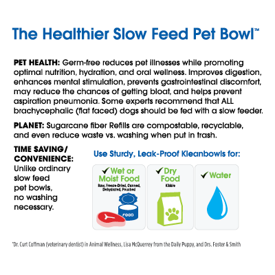 The Healthier Slow Feed Pet Bowl Starter Kit