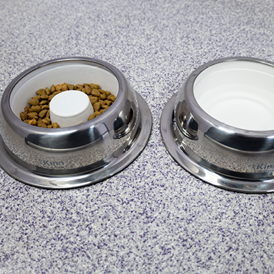 The Healthier Slow Feed Pet Bowl MC
